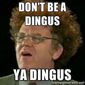 Meet your Posher, Dingus